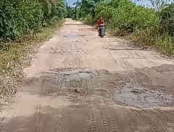 Jalan Rusak Parah, Warga Karya Indah Kesulitan Angkut Hasil Pertanian Km 8 Desa Karya Indah