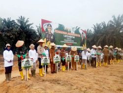 Pemkab Kampar Bersama Kapolda Riau Lakukan Program Penanaman jagung 1 Juta Hektar