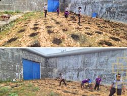 Dukung Program Ketahanan Pangan
