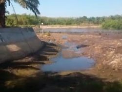 Danau Sasapan II Terancam, Warga Pulau Birandang Menjerit Kekeringan