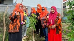 Srikandi Pemuda Pancasila Bagikan Bibit Buah untuk Warga Rimbo Panjang, Dorong Penghijauan dan Kemandirian Pangan