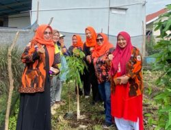 Srikandi Pemuda Pancasila Bagikan Bibit Buah untuk Warga Rimbo Panjang, Dorong Penghijauan dan Kemandirian Pangan